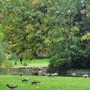 새들가든 이미지