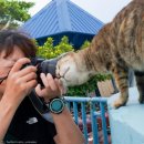 대포카메라 머리 들이미는 고양이..`인생 사진` 건진 사진작가 이미지