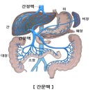 팜프라자약국 | "항히스타민제도 안듣는 만성두드러기?" 범인은 '간'이었습니다. (고덱스 1달 복용 후기)