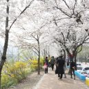 여주-0500 이미지