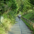 휴대폰거리 이미지