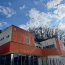 할로인풍 이미지