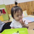 누리김밥 - 횡성군 둔내로51번길 9-2 | 누리김밥