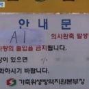 부안 기러기 농장2 네이버블로그