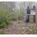 홍천강(춘천) 이미지