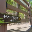 낙동강세평하늘길 이미지