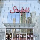 올리브유치원 | 수원애견유치원 추천 스타필드 오십케이 데이케어 솔직후기