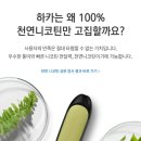 사우전자담배