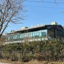 큰나무집궁중약백숙 | 대구 가창 백숙 맛집 큰나무집 궁중약백숙 연말 모임 추천