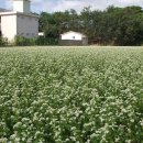 청통면종합복지타운 이미지