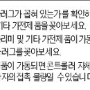 심야보일러 귀뚜라미 고장 및 조치1 / 전원이 들어오지 않을때 이미지