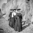 트리머펫 이미지