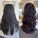 사파동200 이미지