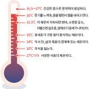 온열건강과학 이미지