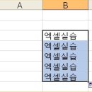 자동채우기 핸들 (텍스트복사) 이미지