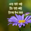 견우직녀 이미지