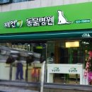 자연은 동물병원 이미지