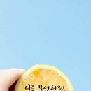 양이네 이미지
