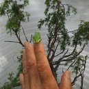 이석농장 이미지