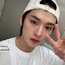 리노스튜디오 이미지