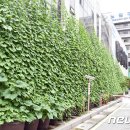 노원구청사 이미지