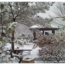 정한농원 이미지