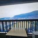 평생 사랑해 줄 개 애견펜션 이미지