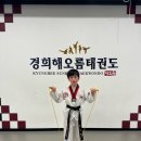 해오름 태권도장 이미지