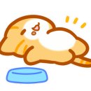 정직유부광주 - 광산구 월계로 173-3 | 정직유부광주