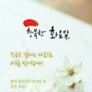 🍱“오래 살려면 적게 먹어라?”…소식 보다 ‘이것’ 균형 맞춰야 장수 이미지