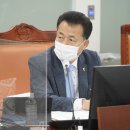 주먹구구