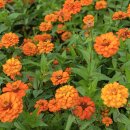 고흥만힐링체험센터 이미지