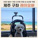 좋은날 음식점(카페,디저트) | 제주 구좌 카페 레이오버 애견 동반 후기 / 오션뷰 커피 디저트 맛집