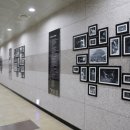 백설공주와 일곱 친구들 이미지