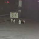 가은주유소 이미지