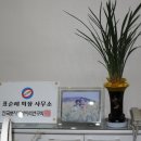 신태양공인중개사사무소 이미지