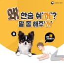 신호인쇄