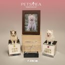 보석헬쓰케어 이미지