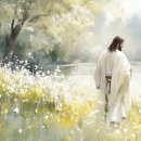 천사PC | 47. 유용한 교회 자료 모음, 2023년 1월 3일, A collection of useful church resources