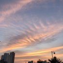 남희청국장 이미지