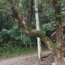 도하저수지 이미지