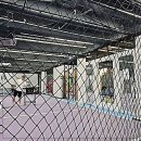 국가대표 진짜배기 | 테니스 입문 더 이상 망설이지 마세요!