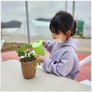 마스터 태권도 이미지