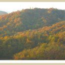 일출하우스 이미지