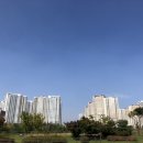 용죽초등학교 건너편 이미지