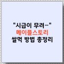 황금PC게임랜드 | 2025 메이플스토리 쌀먹💸: 방법, 직업 티어, 무자본, 채집, 거래 총정리