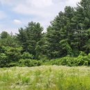 샤인유 의원 이미지