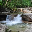 대야산자연휴양림 이미지