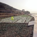 서대리농장 이미지