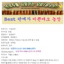 핫딜!! 스마트 처리된 ㅡ 충주 부사 사과 10키로 이미지